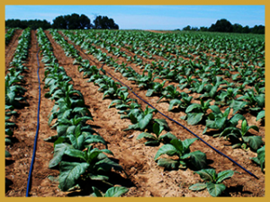 irrigation equipment